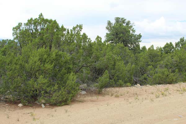 250 FIVE HILLS DR, TIJERAS, NM 87059 - Image 1