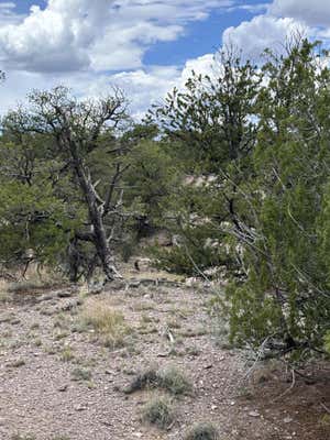 79 ABBE SPRINGS, MAGDALENA, NM 87825 - Image 1