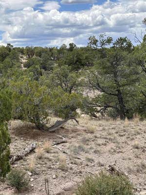 LOT 43 ABBE SPINGS, MAGDALENA, NM 87825 - Image 1