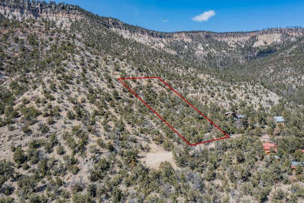 TBD BANCO BONITO ROAD LOT 45A, JEMEZ SPRINGS, NM 87025, photo 4 of 17