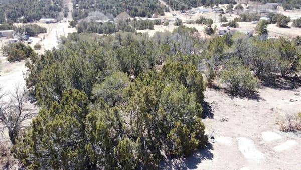 PINE JAY LOT LANE, EDGEWOOD, NM 87015 - Image 1