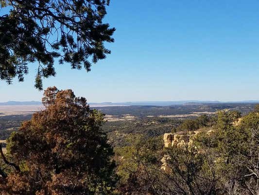 7 CEBOLLA CANYON ROAD, PIE TOWN, NM 87827 - Image 1