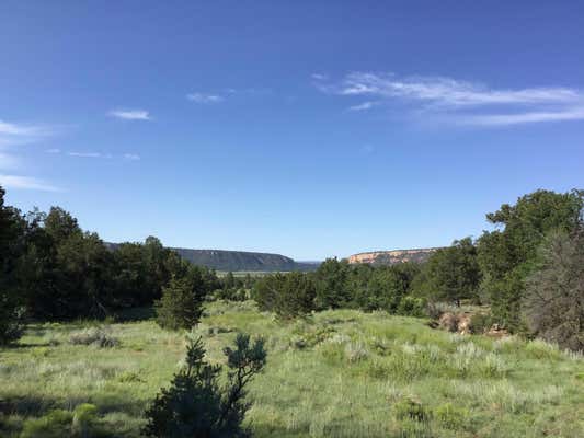 LOTS 15-16 WOODLAND DRIVE, RAMAH, NM 87321 - Image 1