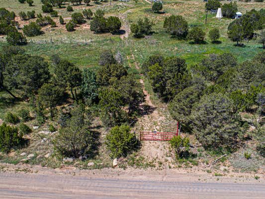 36 FOREST ROAD 321, ESTANCIA, NM 87016 - Image 1