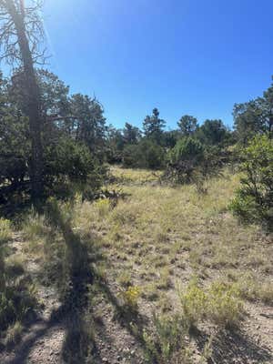 LOOKOUT CIRCLE, DATIL, NM 87821 - Image 1