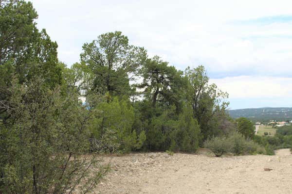 5 MANZANO LOOP, TIJERAS, NM 87059 - Image 1