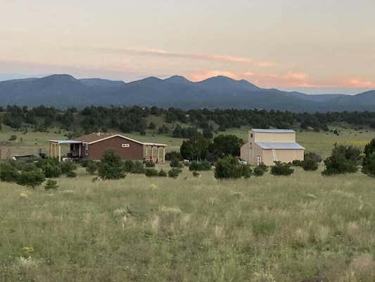 278 THOMAS IV RD, DATIL, NM 87821 - Image 1