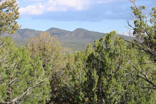 91 RAIN DANCE RD, SANDIA PARK, NM 87047, photo 2 of 10