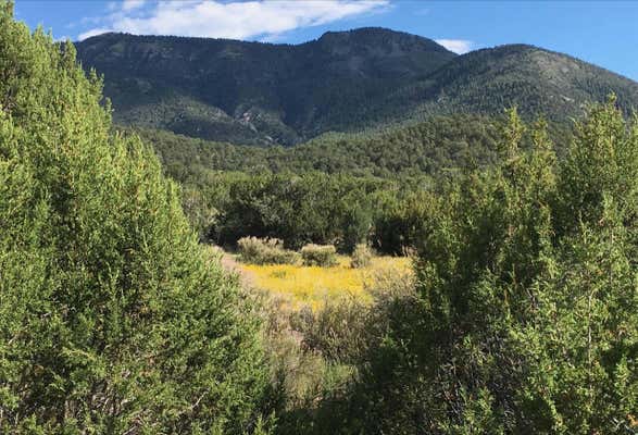 39.33 PATTERSON CANYON ACRES, MAGDALENA, NM 87825 - Image 1