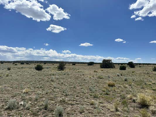 15 BRONCO LN, QUEMADO, NM 87829 - Image 1