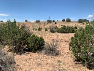 SALLY FB LANE, ALGODONES, NM 87001, photo 5 of 29