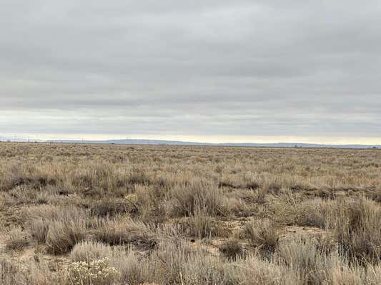 E HOWELL (TR A-3) ROAD, ESTANCIA, NM 87016, photo 4 of 23