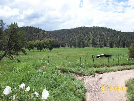 2590 HIGHWAY 12, ARAGON, NM 87820 - Image 1