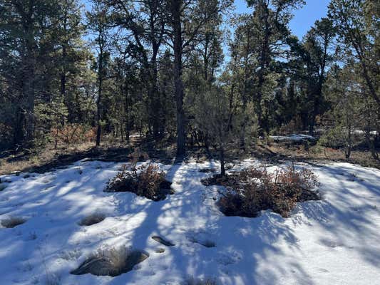 CHICO RD, EDGEWOOD, NM 87015 - Image 1