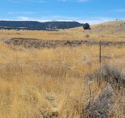 XX ESCUDILLA DRIVE, QUEMADO, NM 87829 - Image 1