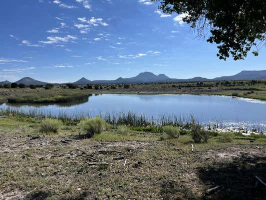 MANGAS ROAD, DATIL, NM 87821, photo 2 of 7