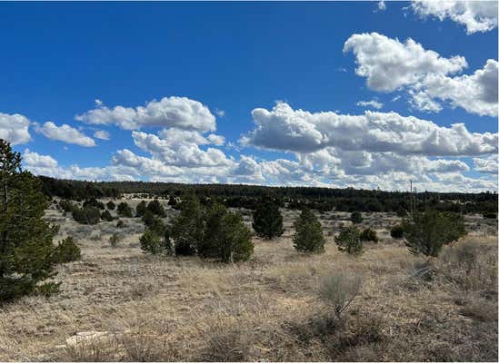 14 CANDY KITCHEN RD, RAMAH, NM 87357 - Image 1