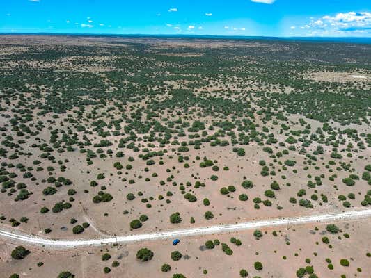 PORTRILLO CREEK RANCH LOT 29, SANTA ROSA, NM 88435 - Image 1