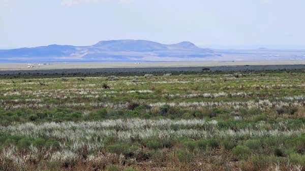 VL LOT 13 BLOCK 1204 RGE # T, BELEN, NM 87002 - Image 1