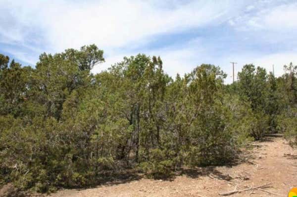 OLYMPIO LANE, TIJERAS, NM 87059 - Image 1