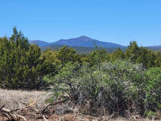 0 CAMINO DEL NORTE, TAJIQUE, NM 87016 - Image 1