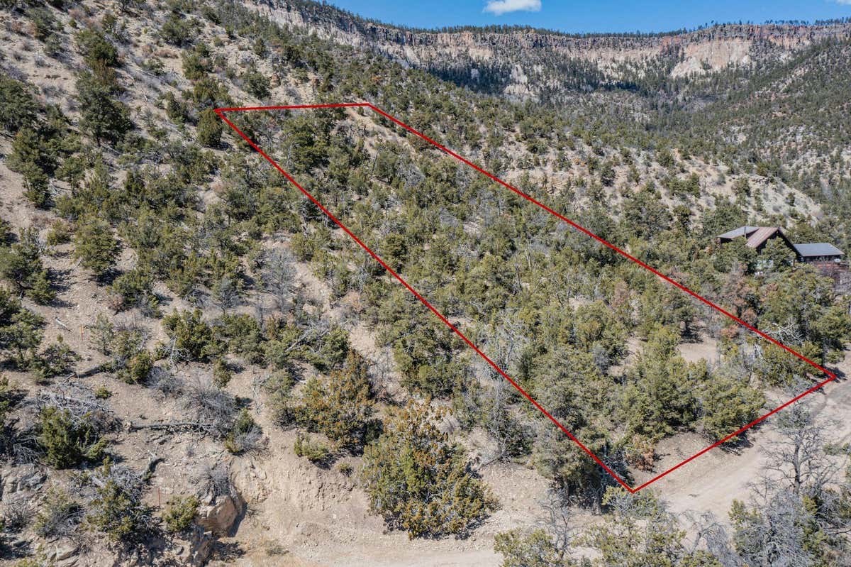 TBD BANCO BONITO ROAD LOT 45A, JEMEZ SPRINGS, NM 87025, photo 1 of 17