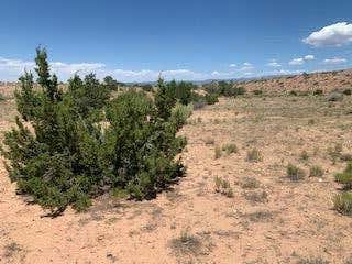 SALLY FB LANE, ALGODONES, NM 87001, photo 2 of 29