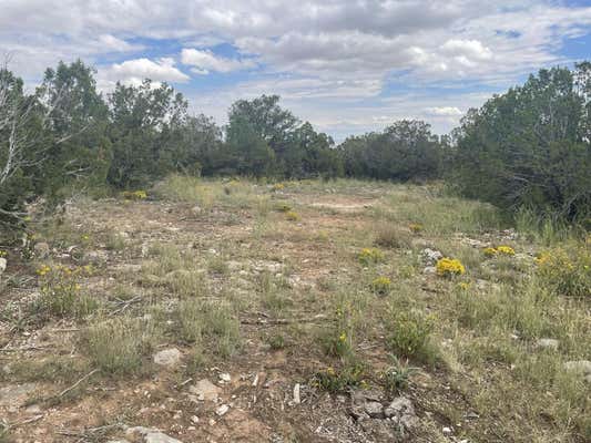 29 MORPER LN, EDGEWOOD, NM 87015 - Image 1