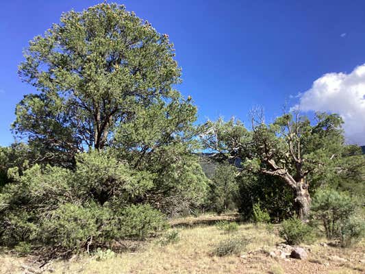 19.81 AC LOWER PATTERSON CANYON, MAGDALENA, NM 87825, photo 5 of 13