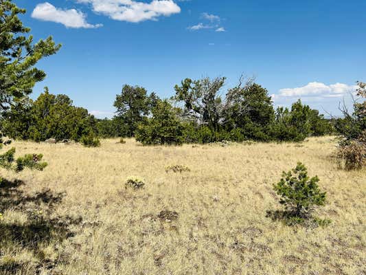 XX POWERLINE ROAD, QUEMADO, NM 87829 - Image 1