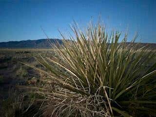 LOT 34 DECANO DRIVE, RIO COMMUNITIES, NM 87002, photo 4 of 14