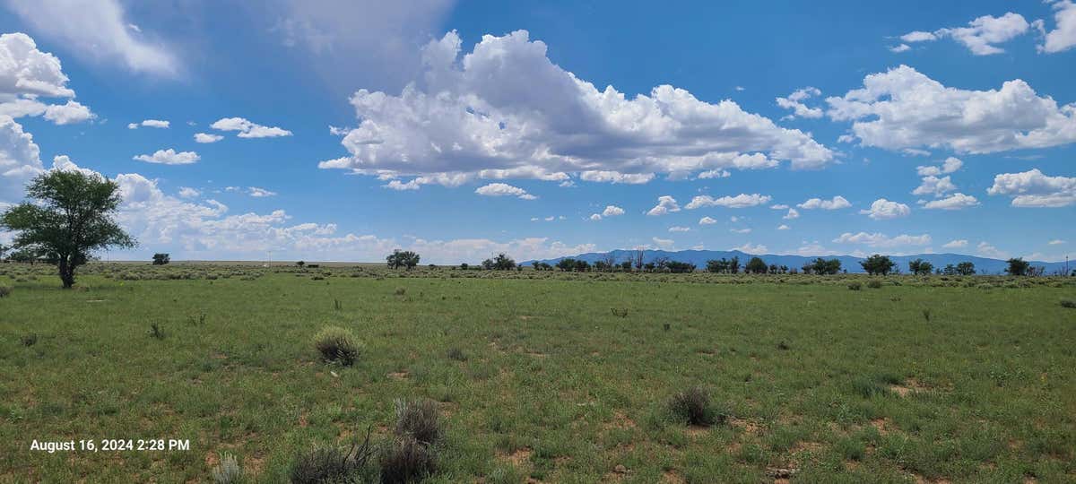 NM HWY 41 AT THREE 7'S RANCH ROAD, WILLARD, NM 87063, photo 1 of 31