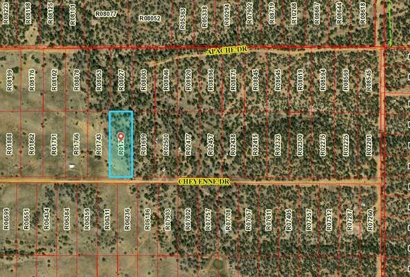 LOT 439 CHEYENNE DRIVE, RAMAH, NM 87321 - Image 1