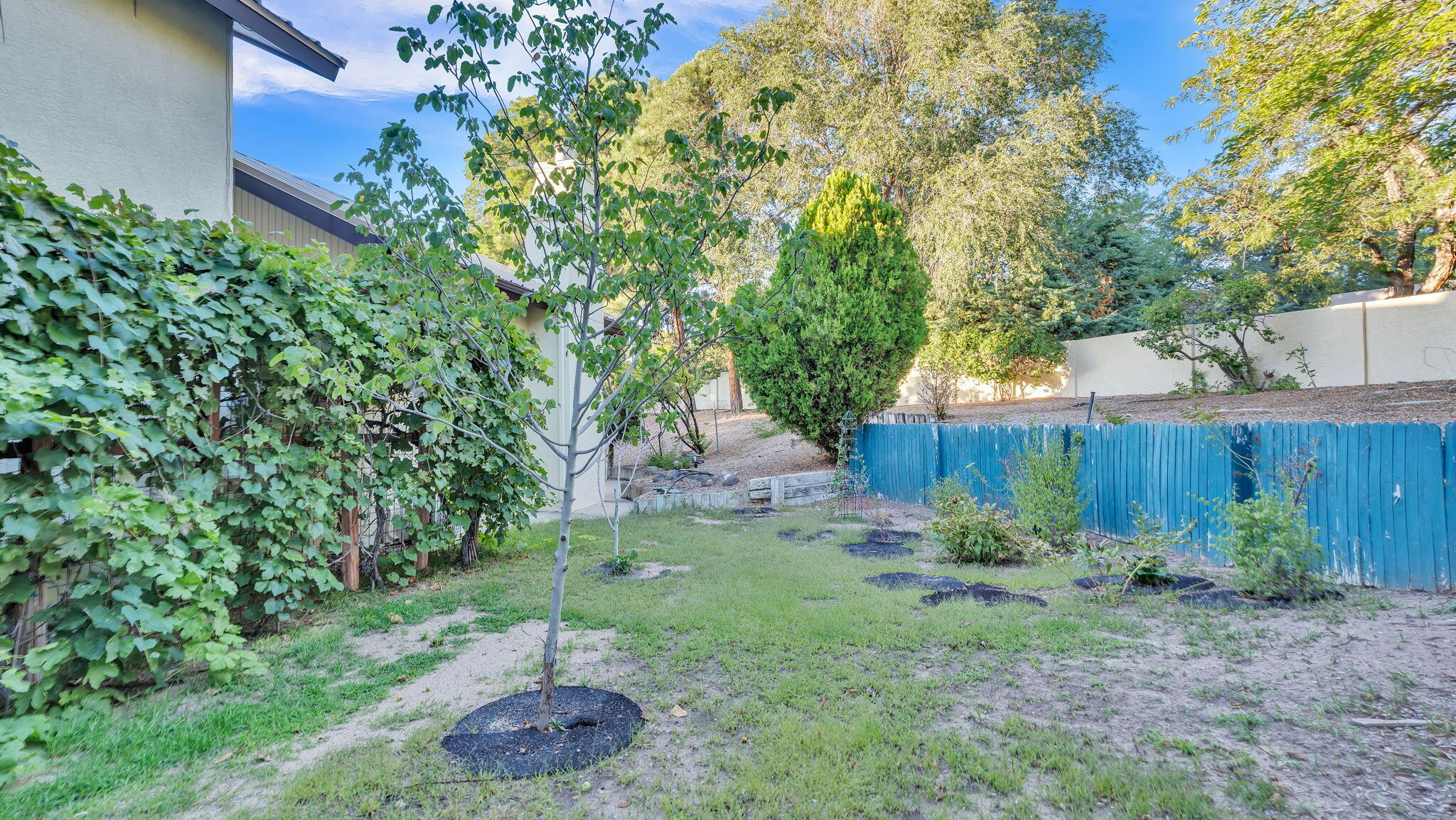 Albuquerque, New Mexico, 87111, United States, 4 Bedrooms Bedrooms, ,3 BathroomsBathrooms,Residential,Active,1965790