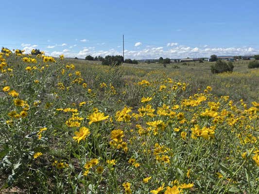 TBD PIONEER ROAD, EDGEWOOD, NM 87015 - Image 1