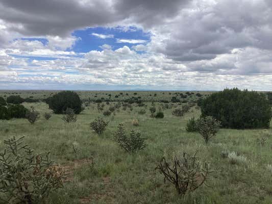 MISSION HILLS RD TRACT E, ESTANCIA, NM 87016 - Image 1