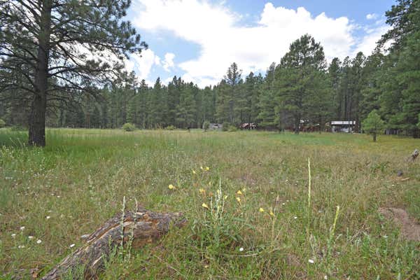 1 HIDDEN VALLEY RD, JEMEZ SPRINGS, NM 87025 - Image 1