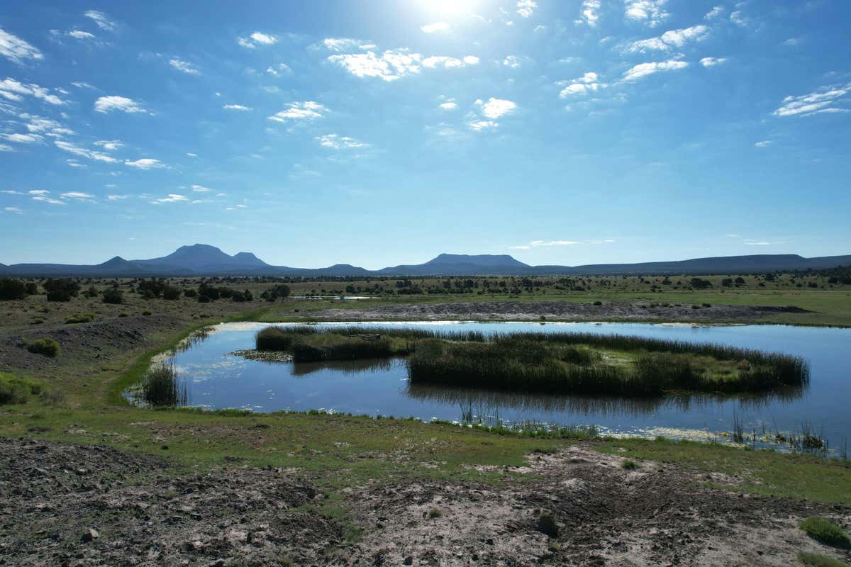 MANGAS ROAD, DATIL, NM 87821, photo 1 of 7