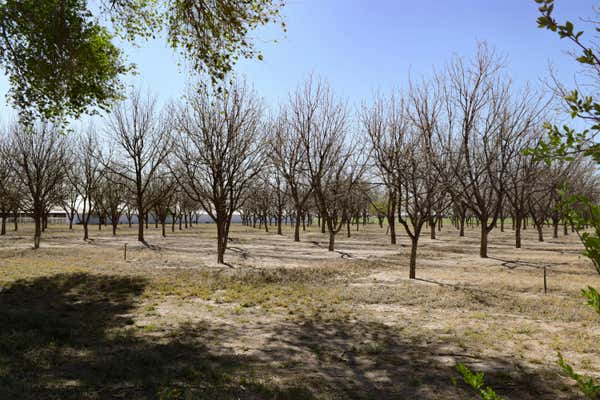 KNOWLES ROAD, HOBBS, NM 88240 - Image 1