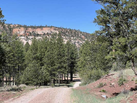 3 BLUEBIRD ROAD, RAMAH, NM 87321 - Image 1