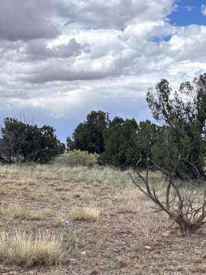 95 ABBE SPRINGS, MAGDALENA, NM 87825 - Image 1