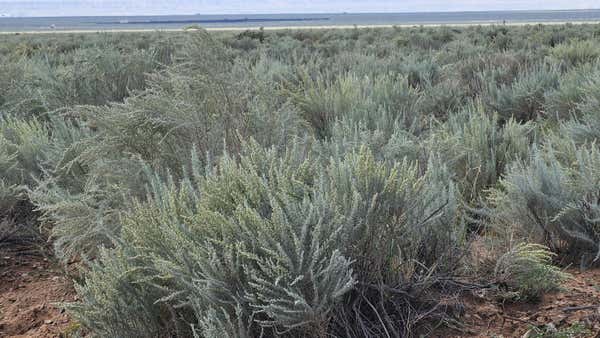 VL LOTS 16,17,18,19 BLOCK 377 RGE # 17, RIO COMMUNITIES, NM 87002 - Image 1