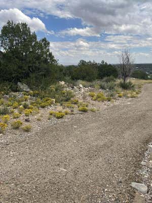 45 MORPER LN, EDGEWOOD, NM 87015 - Image 1