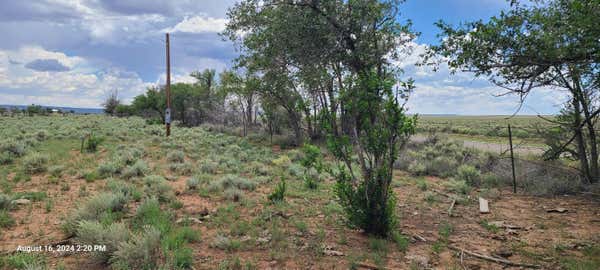 NM HWY 41 AT THREE 7'S RANCH ROAD, WILLARD, NM 87063, photo 5 of 31