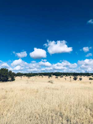 10 MISSION HILLS RD, ESTANCIA, NM 87016 - Image 1