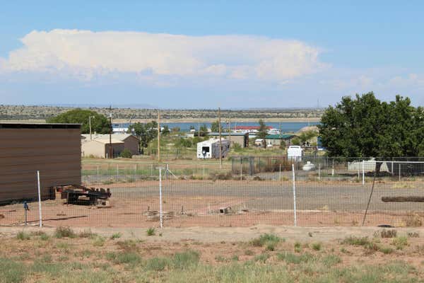 116 BASS PL, CONCHAS DAM, NM 88416, photo 3 of 11