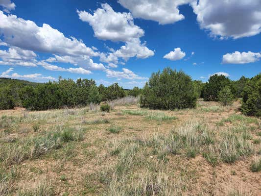 455 ACRES OFF BRANNAN LOOP, TIJERAS, NM 87059 - Image 1