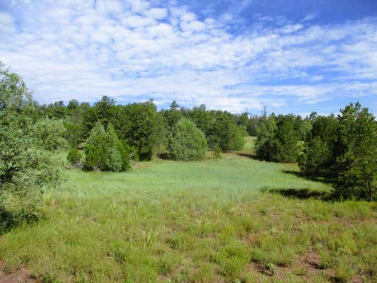 LOTS 5 & 6 BLACK BEAR ROAD, RAMAH, NM 87321 - Image 1