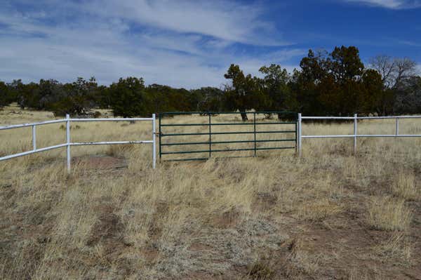 618 HIGHWAY 603, PIE TOWN, NM 87827 - Image 1