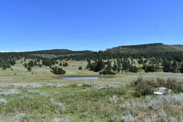 HIGHWAY 94, SAPELLO, NM 87745 - Image 1